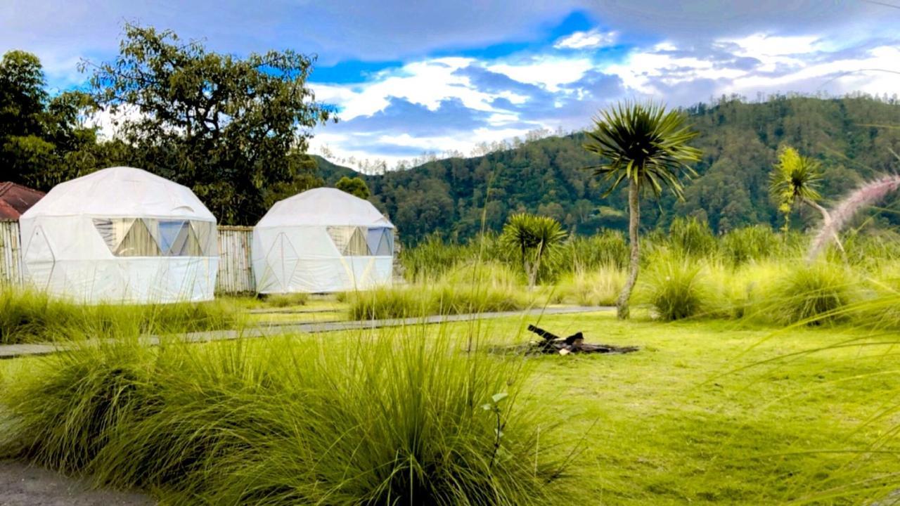 Hotel Igloo Glamping Bali Kintamani Exterior foto